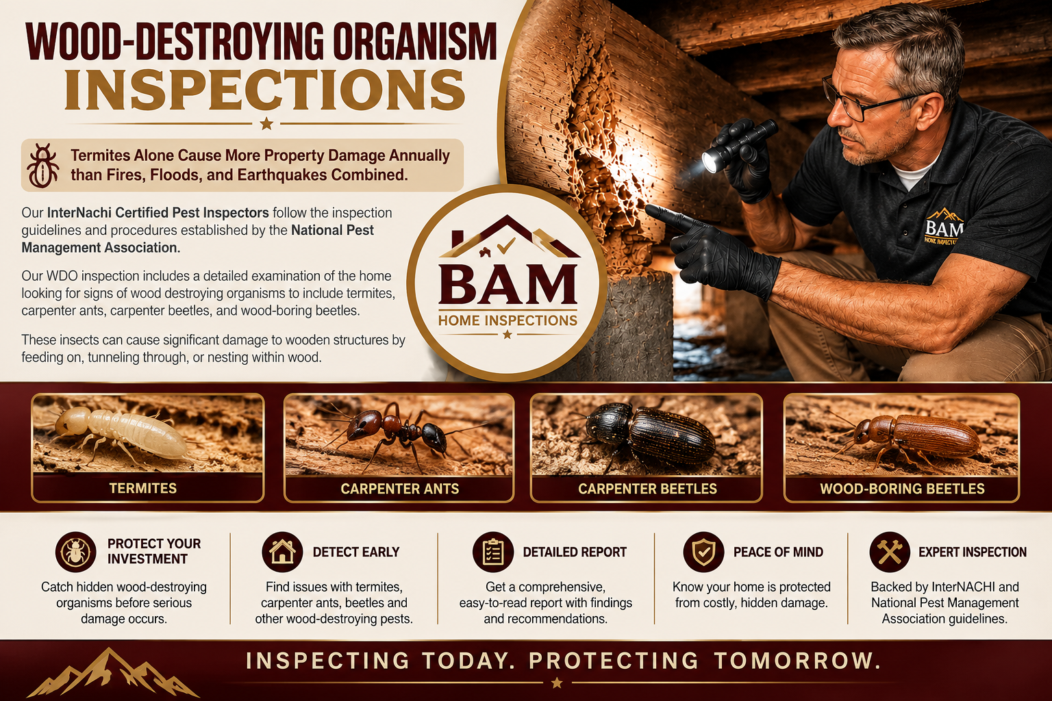 Termites Alone Cause More Property Damage Annually than Fires, Floods, and Earthquakes Combined. Our InterNachi Certified Pest Inspectors follow the inspection guidelines and procedures established by the National Pest Management Association. Our WDO inspection includes a detailed examination of the home looking for signs of wood destroying organisms to include termites, carpenter ants, carpenter beetles, and wood-boring beetles. These insects can cause significant damage to wooden structures by feeding on, tunneling through, or nesting within wood. During our WDO inspection, the inspector will inspect all readily accessible areas where wood destroying insects can be found. Common areas include: Crawl spaces and basements. These areas are often damp and can harbor termites and other insects that thrive in moist environments. Attics. Improper ventilation in attics can lead to moisture buildup, attracting wood-destroying insects. Areas with leaks. Anywhere water damage or leaks occur, such as around windows, doors, or plumbing, can be susceptible to infestation. Exterior wood. Fascia boards, decks, siding, and other exterior wooden elements can be targeted by carpenter bees and other insects. Wood in contact with the ground. Fences and other wood structures that touch the soil are at higher risk. Areas with fungus or rot. Damp or rotting wood provides a food source and nesting site for various insects. Interior wood features. Door and window frames, baseboards, and even furniture can be vulnerable if conditions are right. Trees and tree stumps near the house. These can be entry points for insects that may eventually infest the home. Areas around chimneys and roofs. These areas are also prone to moisture and can attract insects Signs of infestation include sawdust-like droppings (frass), small holes in the wood, and weakened or hollowed-out wood. At the conclusion of our WDO inspection, the client receives a comprehensive report providing crucial information about the property's vulnerability to and current status of wood-destroying insects. This includes a completed NPMA-33 form often referred to as a termite report. This standard form is often required during real estate transactions involving VA and HUD loans. The information detailed in the report empowers the client to make informed decisions about property maintenance, potential treatments, and negotiations in real estate transactions.